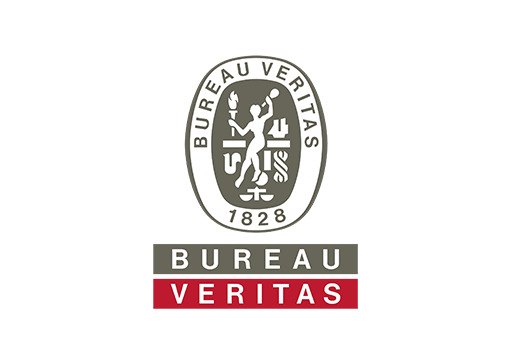 TSI LIMITED bureau veritas logo